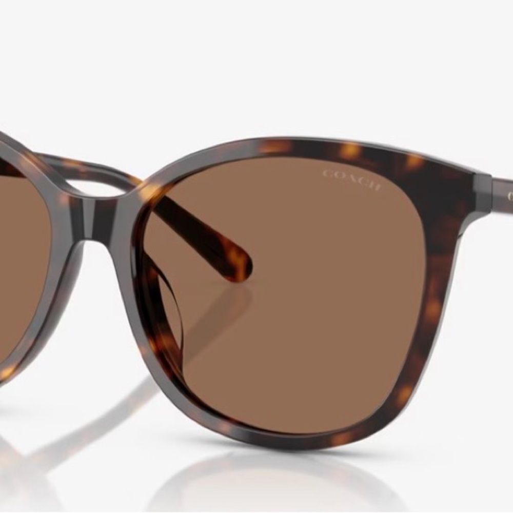 COACH glasses Acetate Frame Square Tortoise HC8271U L1101 accessory
